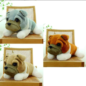 Shar Pei